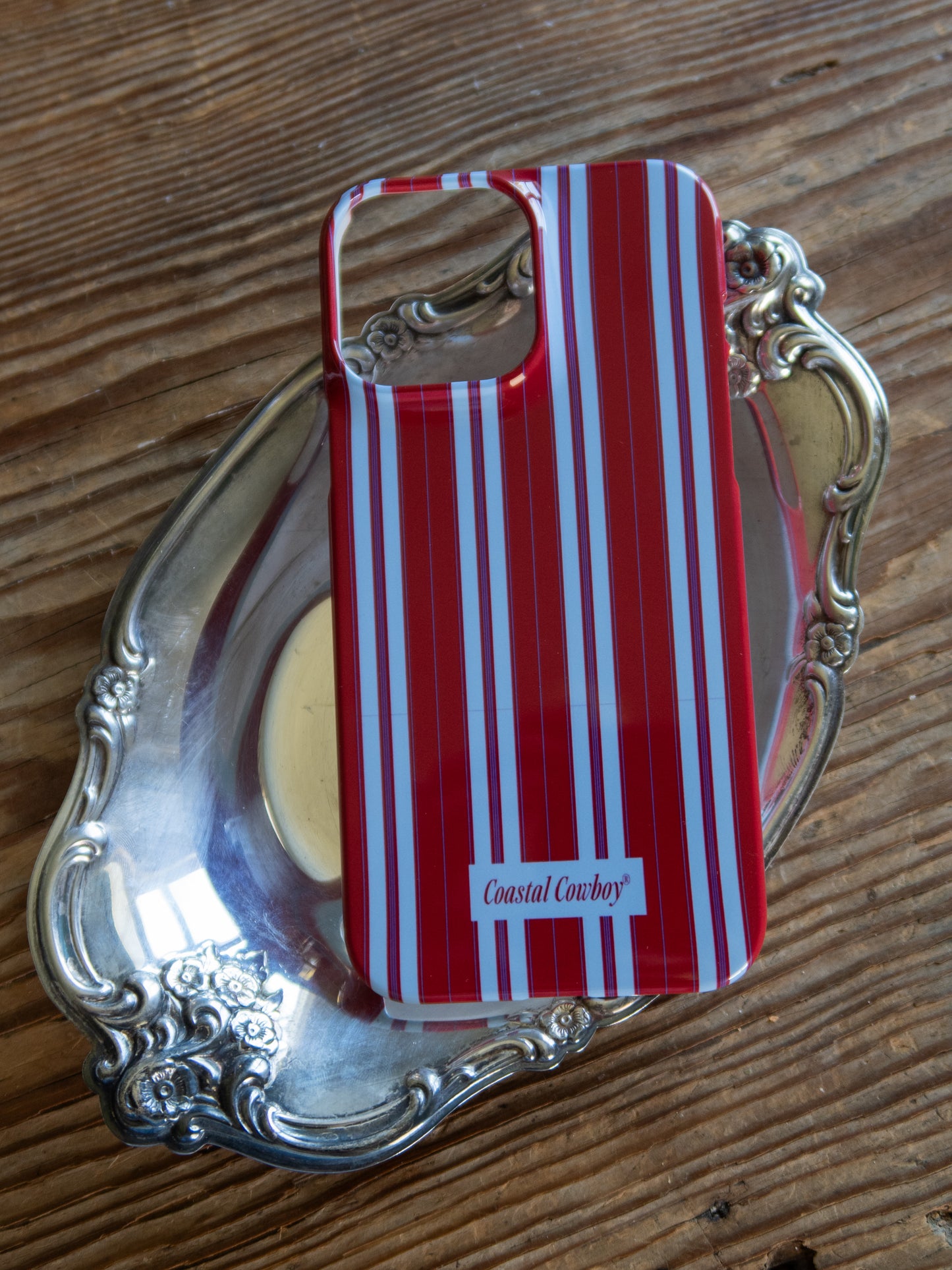 Marina Striped iPhone Case