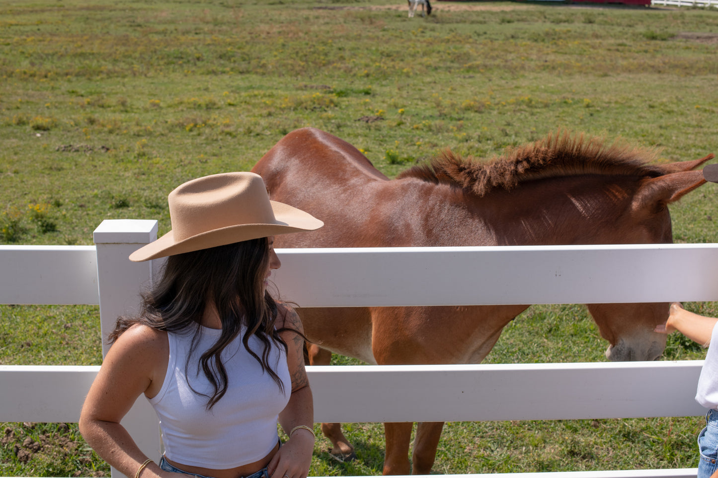 Light Cinnamon Cowboy Hat