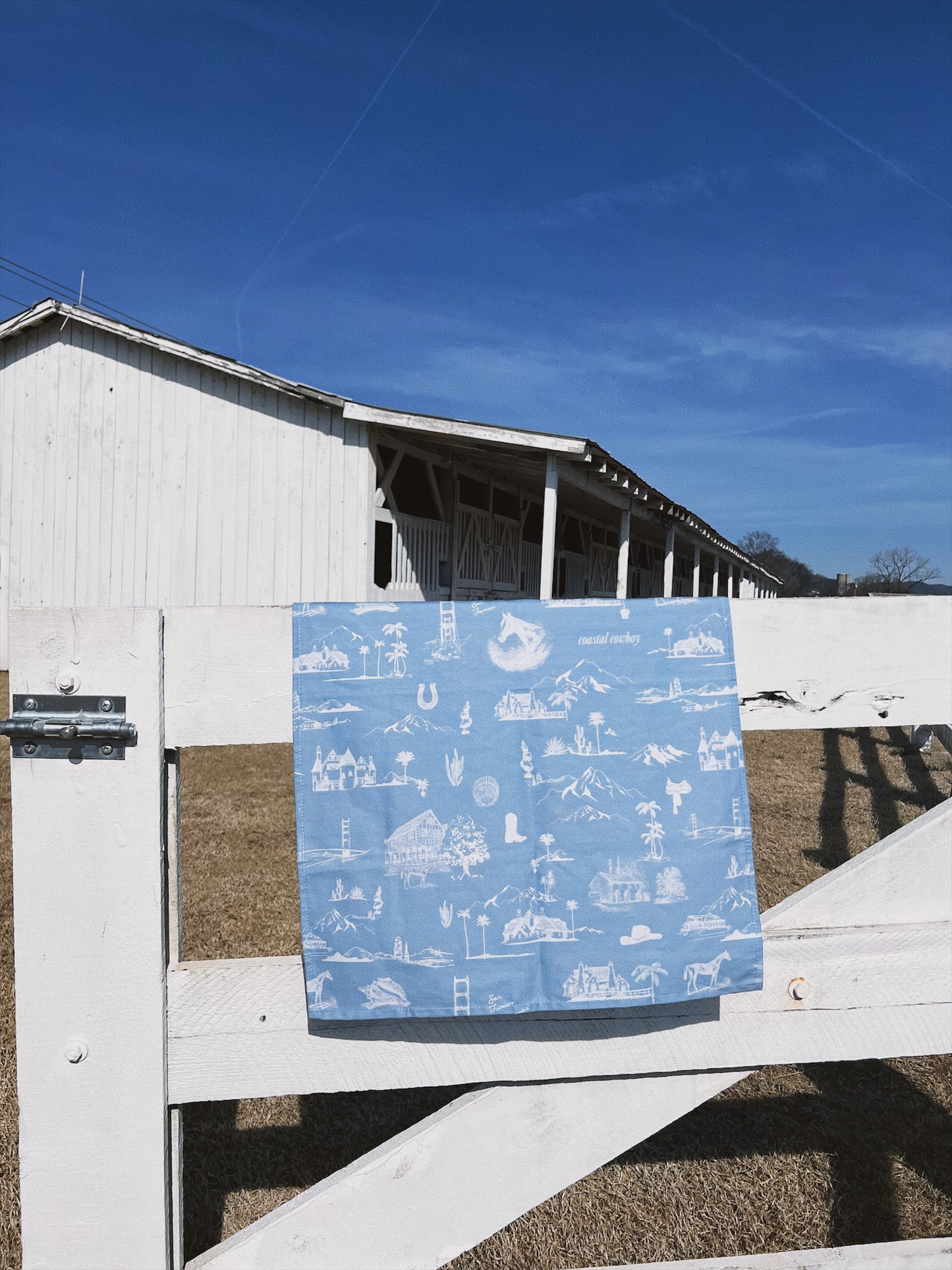 Kitchen Towel (Singular)